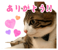 877857501