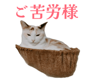 877857509