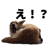 877874064