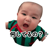 877877537