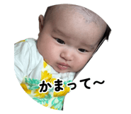 877877550