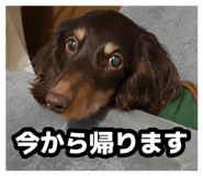 877877759