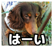 877877763