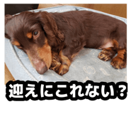 877877768