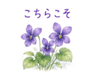877914006