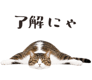 877918194