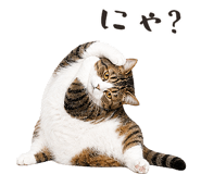 877918196