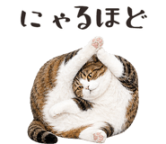 877918197