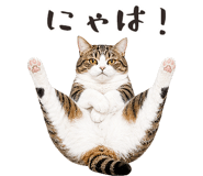 877918198