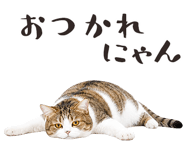 877918201