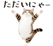 877918207
