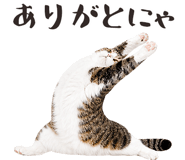 877918209
