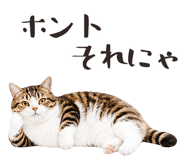 877918212