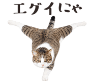 877918217