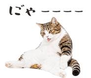 877918221