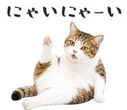 877918224