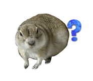 877928035