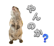 877928036