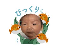 877934030
