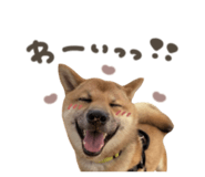 877944565