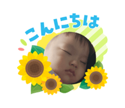 877955552