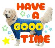 877968259