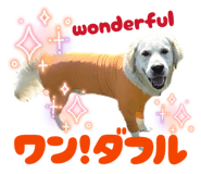 877968264