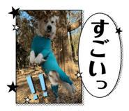 877968268