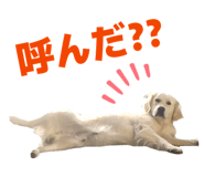 877968271