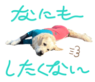 877968276