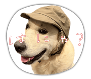 877968278