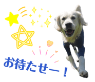 877968286