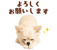877978399