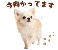 877978411