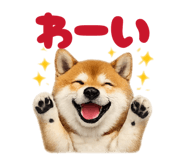 877979985