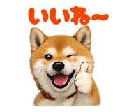 877979987
