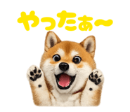 877979989