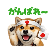 877979991