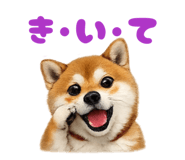 877979992