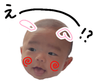 877980446