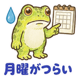878005581
