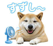 878011524