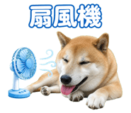 878011532