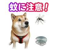 878011556
