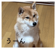878015475