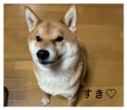878015478