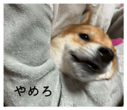 878015480