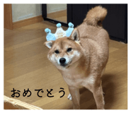 878015494