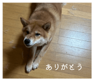 878015495