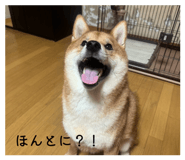 878015500